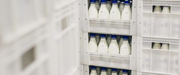 dairy